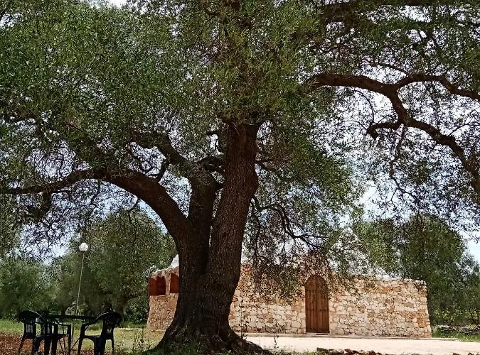 Trulli Monte Madre Villa *