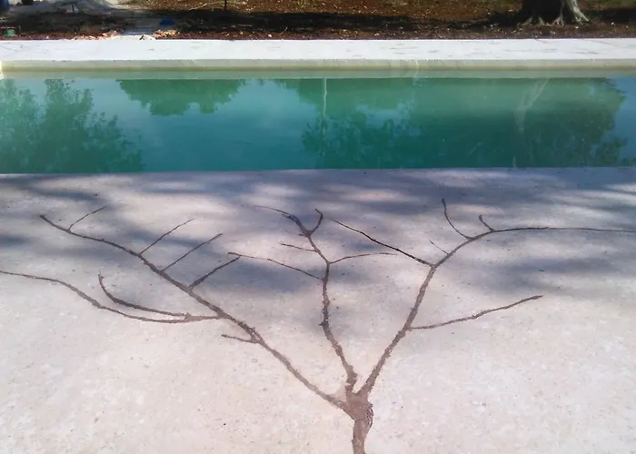 Trulli Monte Madre San Vito dei Normanni