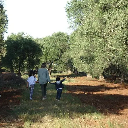 Trulli Monte Madre * 圣维托诺曼