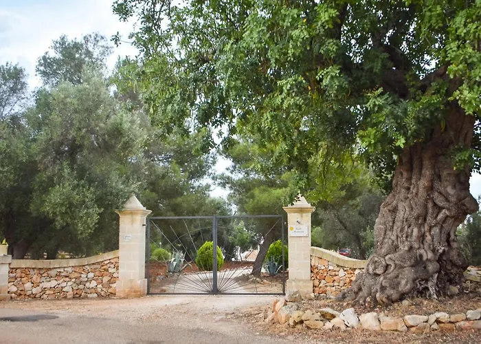 Villa Trulli Monte Madre *